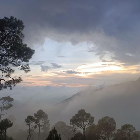 The Western Heights I Serviced Apartments I Pvt Balcony I Lift I Peacefull Area I Family Accomodation I Kasauli I By Exotic Stays Eksteriør bilde