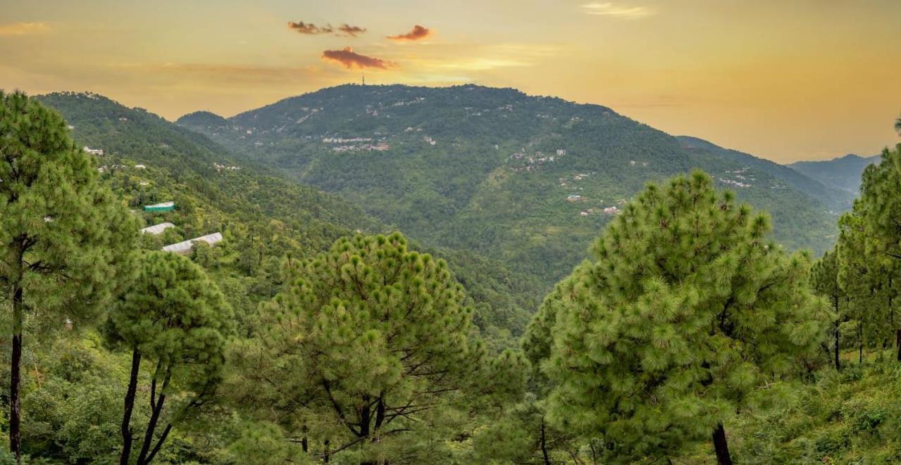 The Western Heights I Serviced Apartments I Pvt Balcony I Lift I Peacefull Area I Family Accomodation I Kasauli I By Exotic Stays Eksteriør bilde
